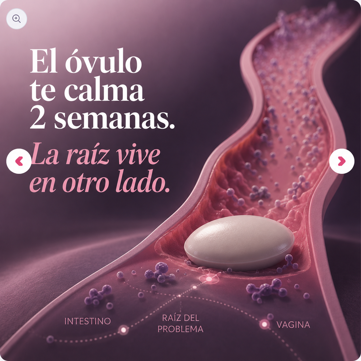 CANDIDA CLEANSE