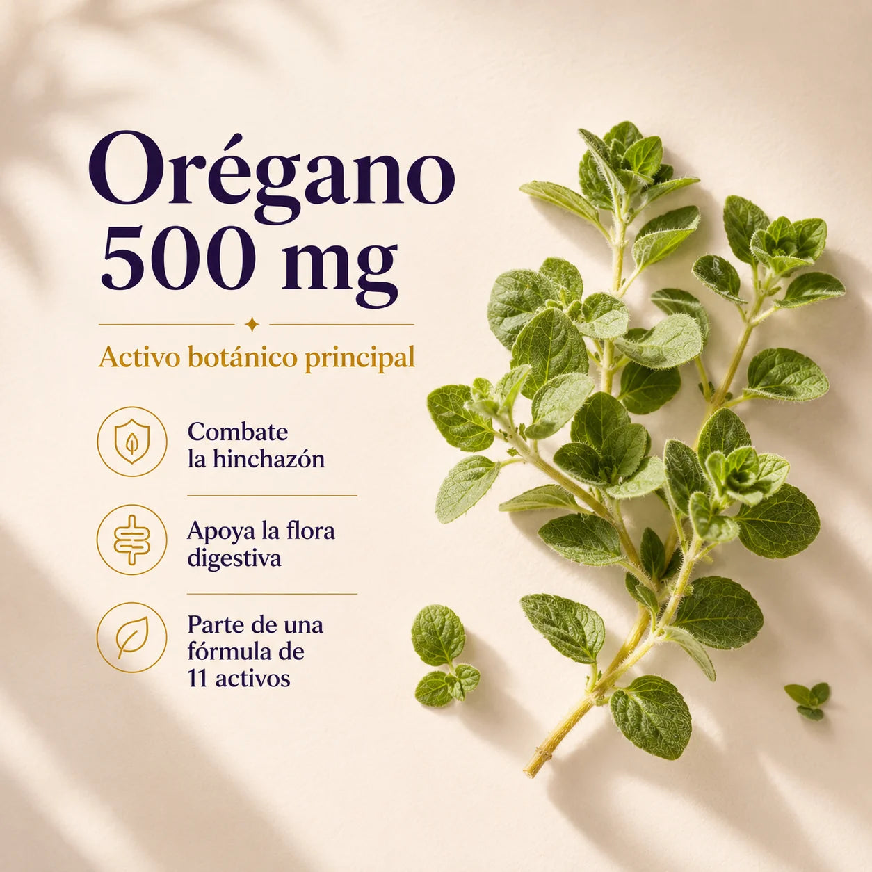 Candida Cleanse · Orégano 500 mg · ingrediente ancla