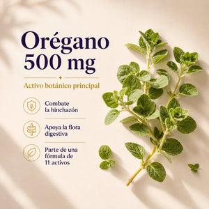 Orégano 500 mg