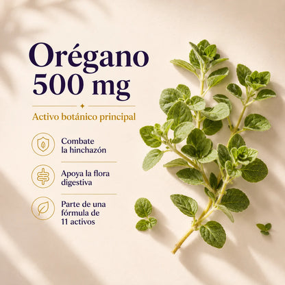 Candida Cleanse · Orégano 500 mg · ingrediente ancla